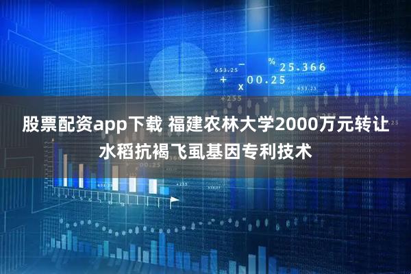 股票配资app下载 福建农林大学2000万元转让水稻抗褐飞虱基因专利技术